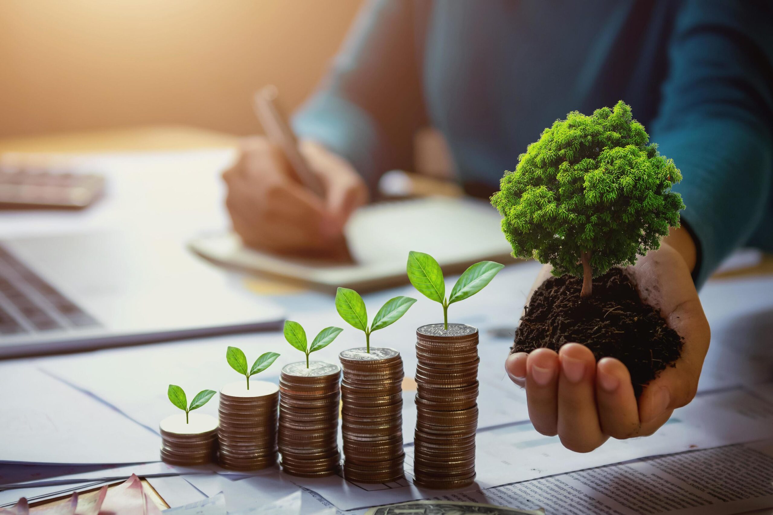 Wealth Toolkit